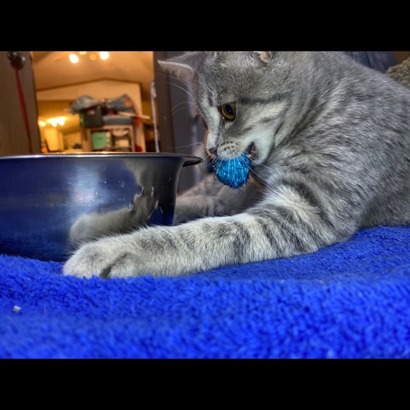 Test - Picture 4 of 4